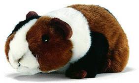 Anima Cochon d'Inde 17 cm Peluches