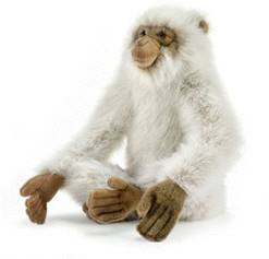 Anima Singe Gibbon 35 cm Peluches